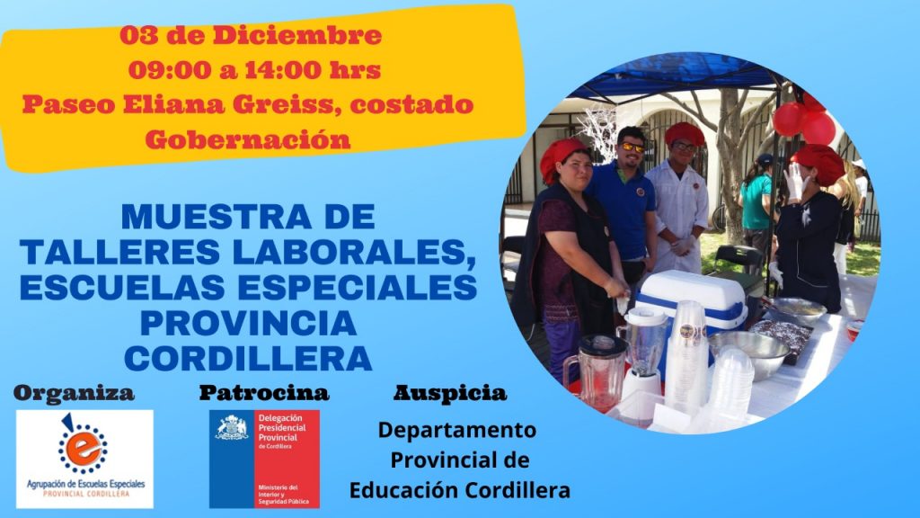 3 de diciembre de 09:00 a 14:00 Paseo Eliana Greiss - costado gobernacion - Muestra talleres laborales - Escuelas Especiales Provincia Cordillera