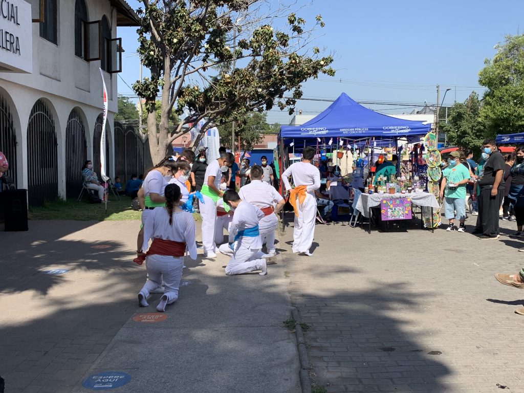 3 de diciembre de 09:00 a 14:00 Paseo Eliana Greiss – costado gobernacion – Muestra talleres laborales – Escuelas Especiales Provincia Cordillera
