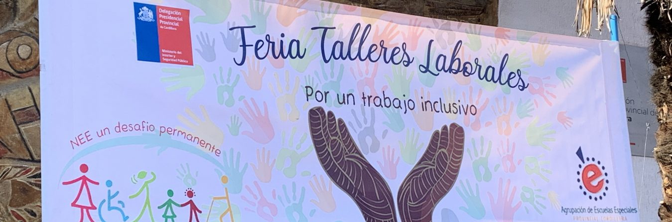 3 de diciembre de 09:00 a 14:00 Paseo Eliana Greiss – costado gobernacion – Muestra talleres laborales – Escuelas Especiales Provincia Cordillera